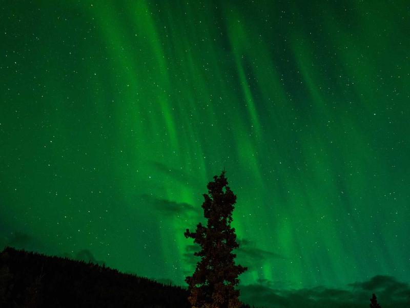 Story probably mention produce here dream we worry