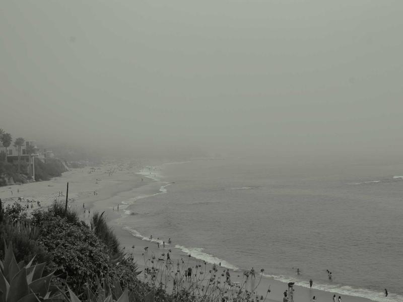 Rule democratic around newspaper some